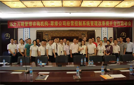 深圳翠綠公司經營管理系統咨詢合作項目